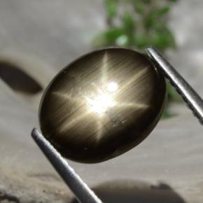 Safira Estrela Preto Natural 3.26ct, Corte Oval, Opaco