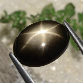Safira Estrela Preto Natural 3.05ct, Corte Oval, Opaco