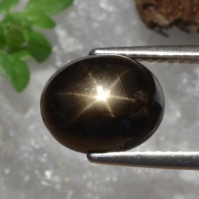 Safira estrela preto natural 4,91ct, corte oval, opaco