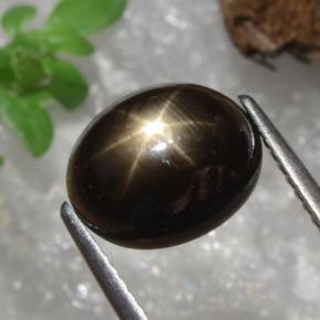 Safira estrela preto natural 4,91ct, corte oval, opaco