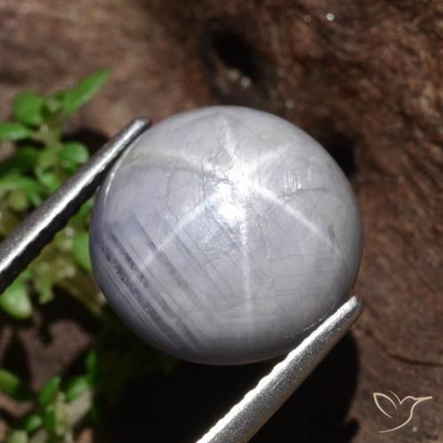Safira estrela Cinza claro Natural 10.97ct, Redondo, Opaco