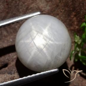 Safira estrela Cinza muito claro Natural 8.80ct, Redondo, Opaco