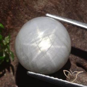 Safira estrela Cinza muito claro Natural 8.80ct, Redondo, Opaco