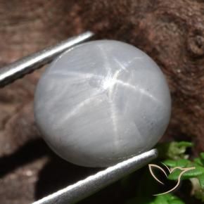 Safira estrela cinza médio Natural 8.96ct, Redondo, Opaco