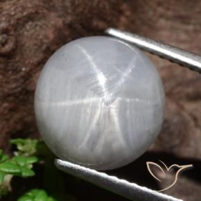 Safira estrela cinza médio Natural 8.96ct, Redondo, Opaco