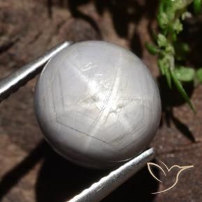 Safira estrela Cinza médio-escuro Natural 6.61ct, oval, Opaco