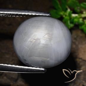 Safira estrela cinza azulado Natural 14.39ct, oval, Opaco