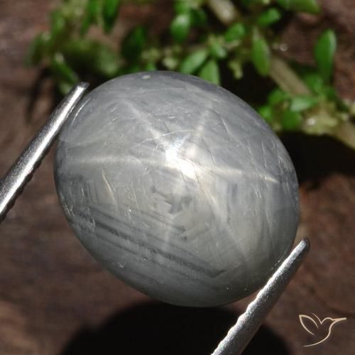 Safira estrela cinza médio Natural 13.46ct, oval, Opaco