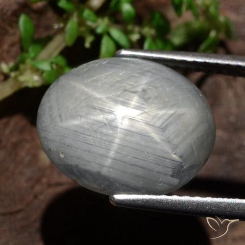 Safira estrela cinza médio Natural 13.46ct, oval, Opaco