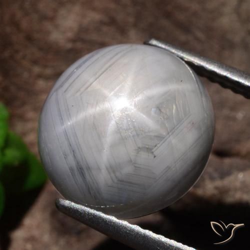 Safira estrela Cinza claro Natural 10.69ct, oval, Opaco