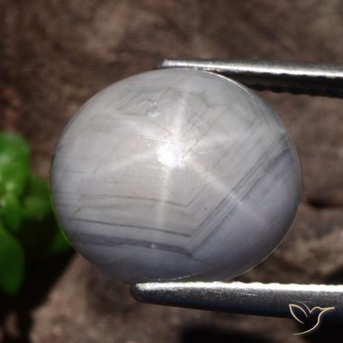 Safira estrela Cinza claro Natural 10.69ct, oval, Opaco