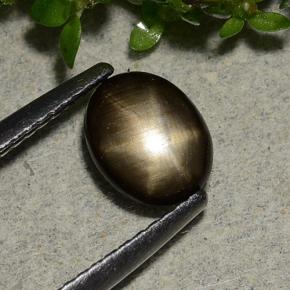 Safira estrela preto natural 1,15ct, corte oval, opaco