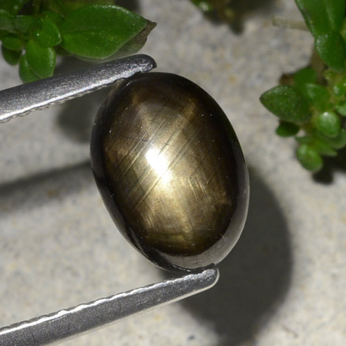 Safira estrela preto natural 2,20ct, corte oval, opaco