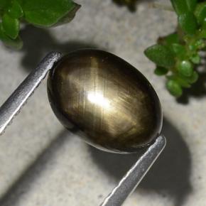 Safira estrela preto natural 2,20ct, corte oval, opaco
