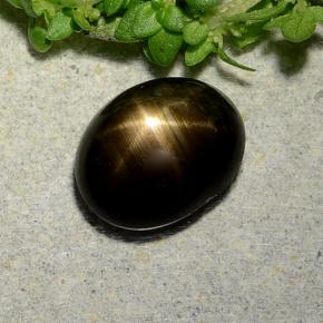 Safira Estrela Preto Natural 2.31ct, Corte Oval, Opaco