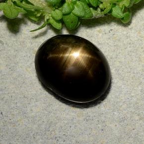Safira Estrela Preto Natural 2.31ct, Corte Oval, Opaco