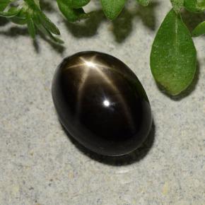 Safira estrela preto natural 2,60ct, corte oval, opaco