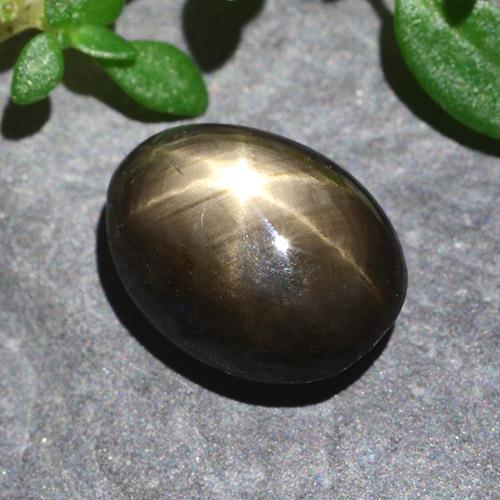 Safira Estrela Preto Natural 2.55ct, Corte Oval, Opaco