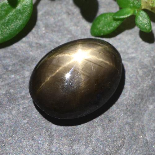 Safira Estrela Preto Natural 2.55ct, Corte Oval, Opaco