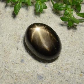 Safira estrela preto natural 3,73ct, corte oval, opaco