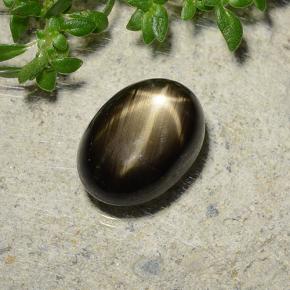 Safira estrela preto natural 3,73ct, corte oval, opaco