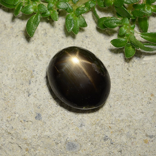Safira Estrela Preto Natural 2.51ct, Corte Oval, Opaco