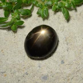 Safira Estrela Preto Natural 2.51ct, Corte Oval, Opaco