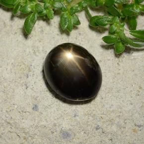 Safira Estrela Preto Natural 2.51ct, Corte Oval, Opaco