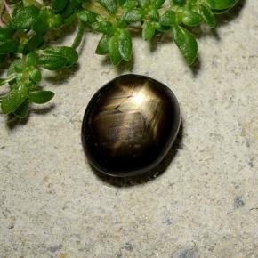 Safira estrela preto natural 2,46ct, corte oval, opaco
