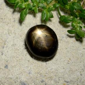 Safira estrela preto natural 2,46ct, corte oval, opaco