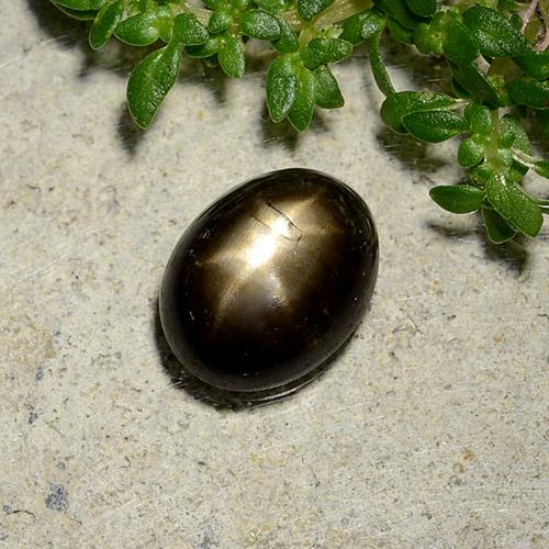 Safira estrela preto natural 2,07ct, corte oval, opaco