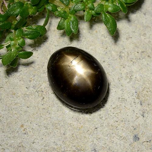Safira estrela preto natural 2,07ct, corte oval, opaco