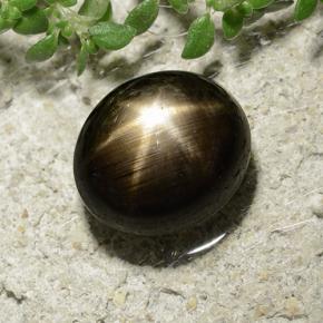 Safira estrela preto natural 3,31ct, corte oval, opaco