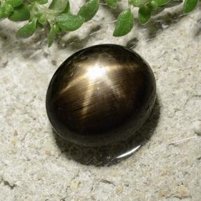 Safira estrela preto natural 3,31ct, corte oval, opaco