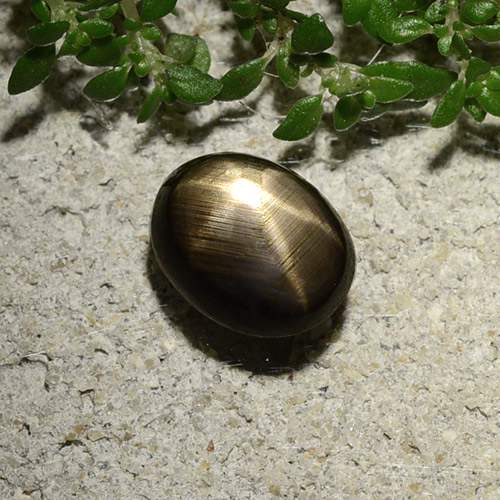 Safira estrela preto natural 2,10ct, corte oval, opaco