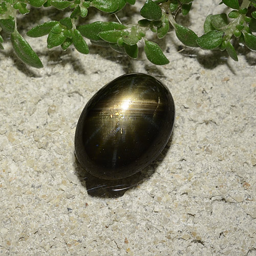 Safira estrela preto natural 2,47ct, corte oval, opaco