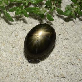 Safira estrela preto natural 2,47ct, corte oval, opaco