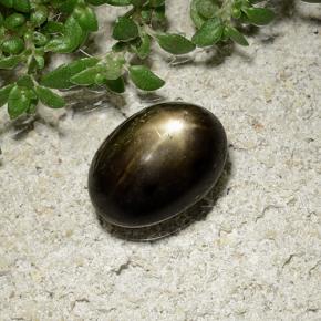Safira estrela preto natural 2,41ct, corte oval, opaco