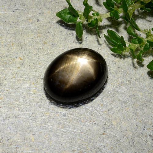 Safira estrela preto natural 1,97ct, corte oval, opaco