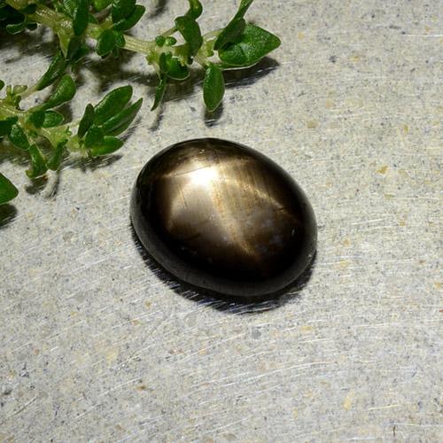 Safira estrela preto natural 1,97ct, corte oval, opaco