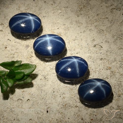 3.01ctw Natural Azul escuro Safira estrela, oval, Opaco