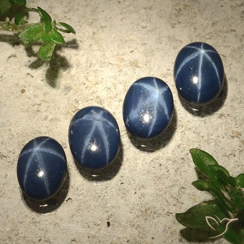 3.44ctw Natural Azul marinho profundo Safira estrela, oval, Opaco