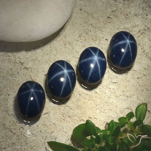 5.55ctw Natural Azul marinho profundo Safira estrela, oval, Opaco