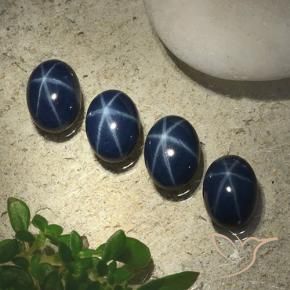 Pedras preciosas de Safira estrela Azul marinho profundo natural de 5.55 ct, oval, Opaco