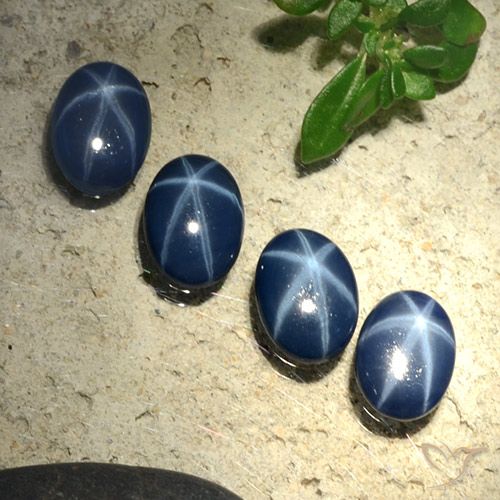 2.84ctw Natural Azul escuro Safira estrela, oval, Opaco