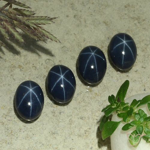 5.69ctw Natural Azul escuro Safira estrela, oval, Opaco