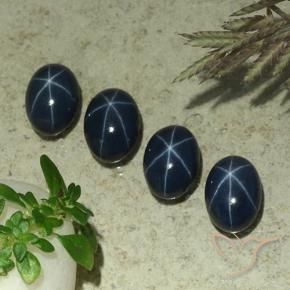 Pedras preciosas de Safira estrela Azul escuro natural de 5.69 ct, oval, Opaco