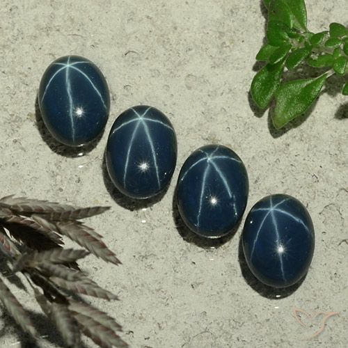 4.92ctw Natural Azul marinho profundo Safira estrela, oval, Opaco