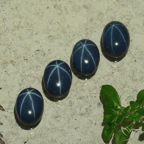 5.11ctw Natural Azul escuro Safira estrela, oval, Opaco