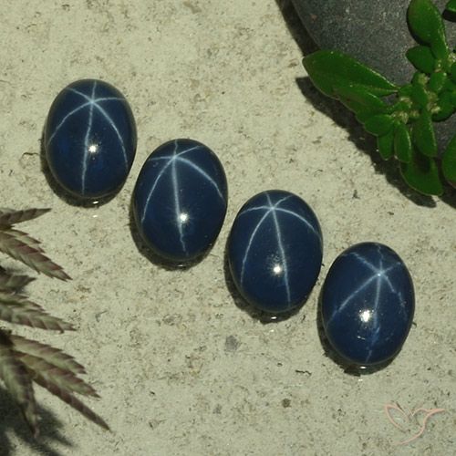 3.39ctw Natural Azul marinho profundo Safira estrela, oval, Opaco